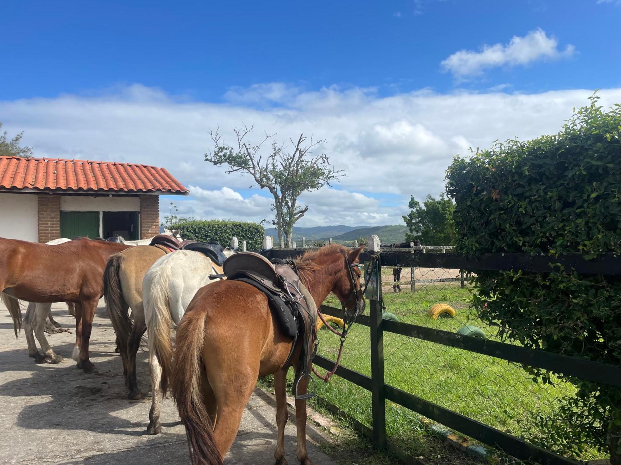 Gravata Flat No Condominio Monte Castelo Melhor Localizacao , Wi-Fi, Sky E Ar Luaran gambar